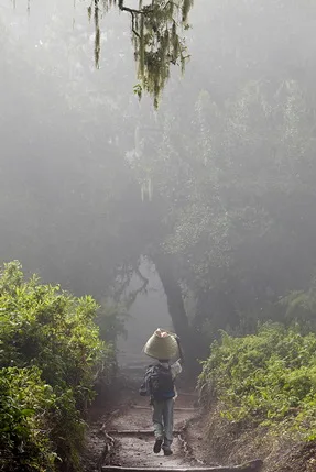 Life in motion — Kilimanjaro. Кадр 5