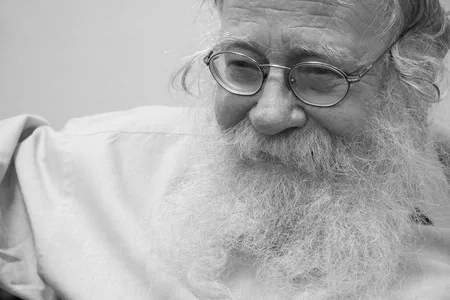 Interview with rabbin Steinzalrzem. Кадр 5