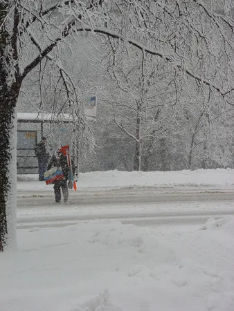 Way in a zero-zero weather. Кадр 1