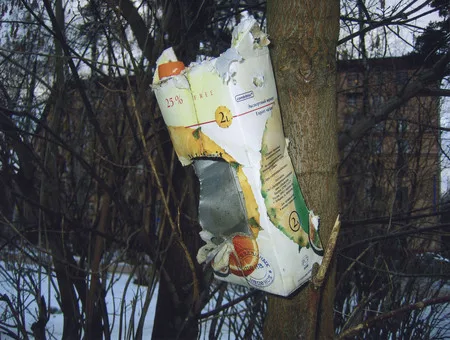 The bird’s public catering. Кадр 13