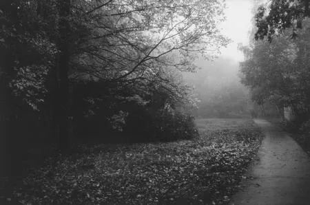 Silent life to Medvedkovo. Кадр 6