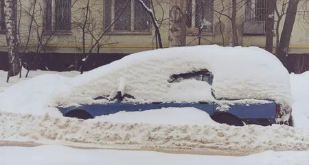 The Moscow snowdrops. Кадр 10
