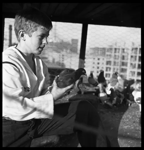 История в фотографиях 1945—1950. Кадр 7