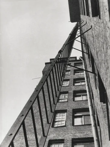 Photoavant-garde of the 1920s and 1930s. Alexander Rodchenko and his contemporaries. Кадр 6