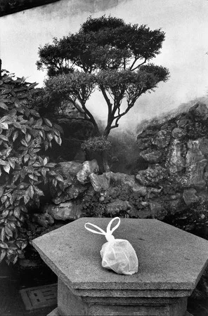 Photograph. 1950-1970’s. Кадр 3