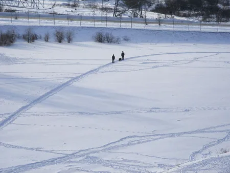 Winter. Novokosino. Кадр 7
