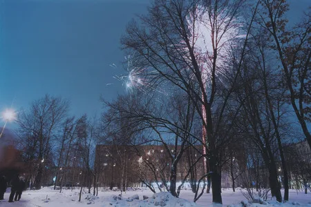 Новогодний феерверк: вечная ценность в частной собственности. Кадр 13
