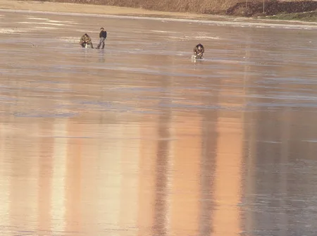 Borisovskiye ponds. Finally it is a frost!. Кадр 6