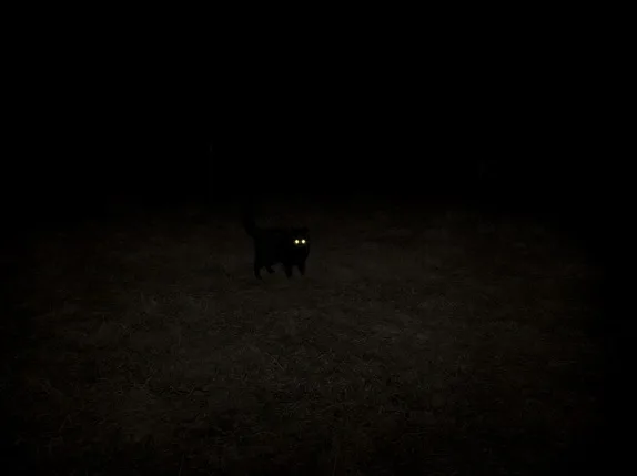 83 Days of Darkness. Кадр 8