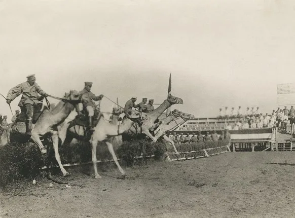Война и мир. На заре европейской фотожурналистики. 1910-е годы. Кадр 6