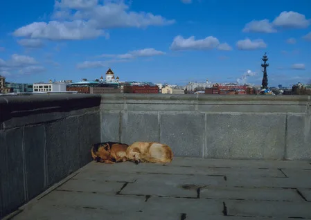 Peter the Great monument. Кадр 3