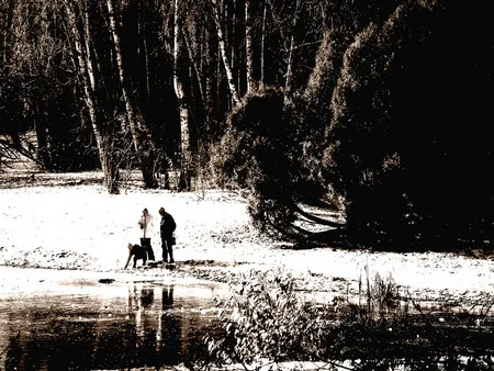 Autumn in the Botanic garden. Кадр 3