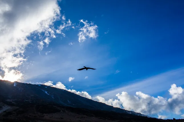 Life in motion — Kilimanjaro. Кадр 2