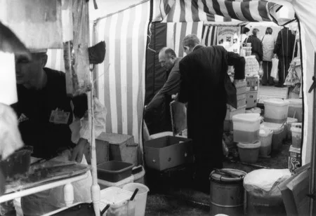 Honey fair. Кадр 12