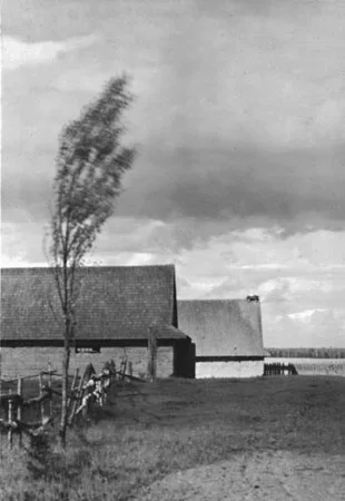 Nature in Russian Photography in the Late 19th and Early 20th Centuries. Кадр 3