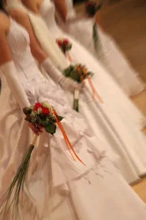 Viennese ball. Кадр 9