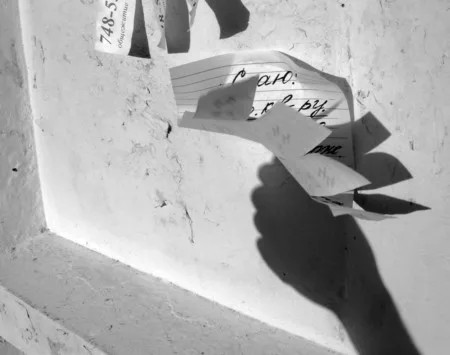 Playing with a shadow. Кадр 13