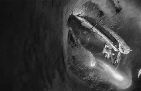 In the underground rivers. Кадр 6