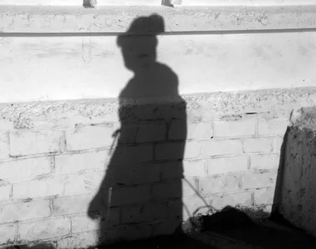 Playing with a shadow. Кадр 5