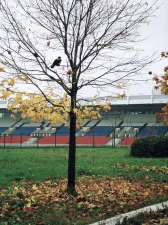 Moscow-Tchertanovo. Кадр 1