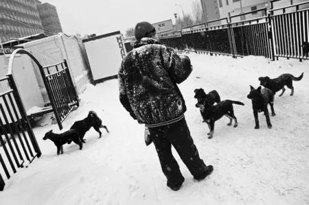 Moscow. First snow. Кадр 2