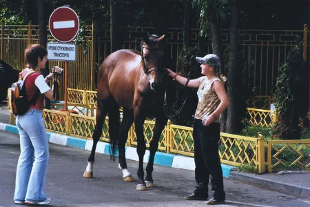 EKVIROS 2005. Кадр 7
