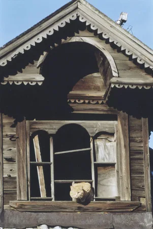 The last village of Moscow. Кадр 11