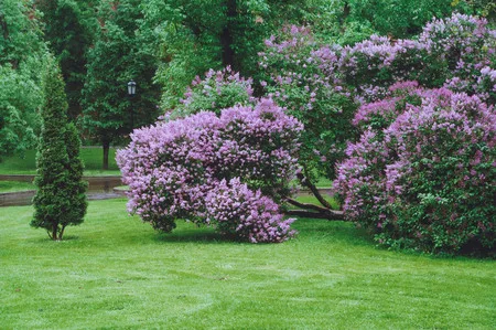 Moscow parks 2. Кадр 8