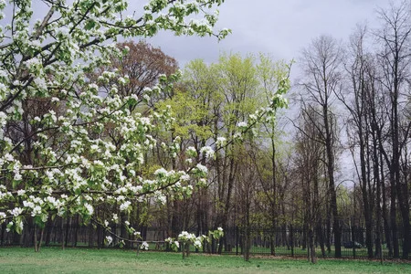 Parcs of Moscow. Кадр 10
