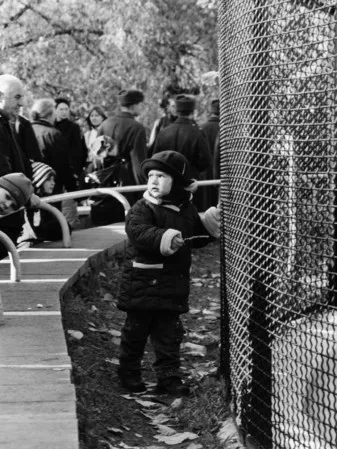 In the zoo. Кадр 8