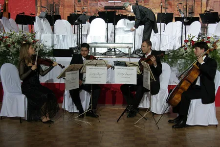 Viennese ball. Кадр 1