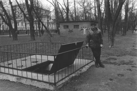 Безутешные. Кадр 4