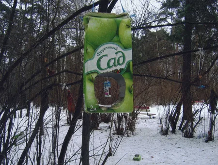 The bird’s public catering. Кадр 5
