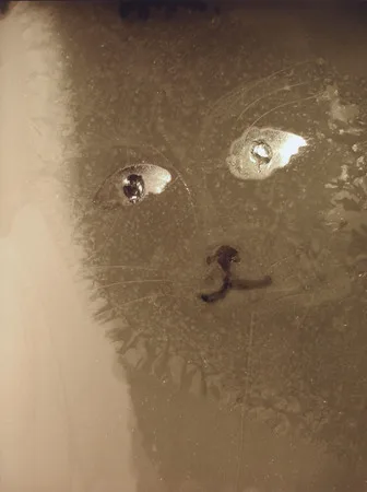 Frost. Кадр 7