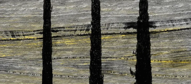 Dislocations. Кадр 4