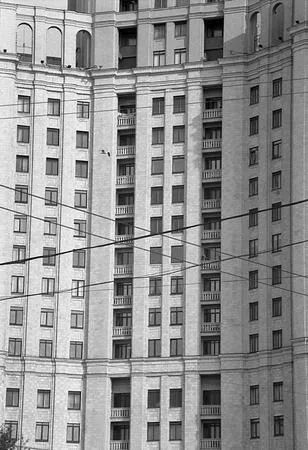 Московская чайка у себя дома — портрет в интерьере. Кадр 13