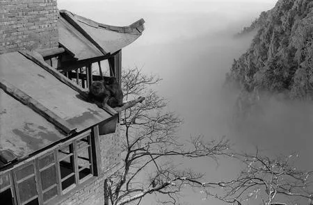 Other side of China. Кадр 1