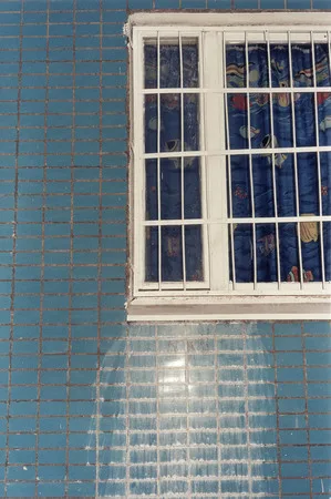 Windows! (Totalrealism). Кадр 7
