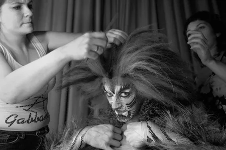 Cats from the misical “Cats”. Кадр 7