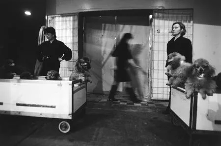 About the Circus. Кадр 10