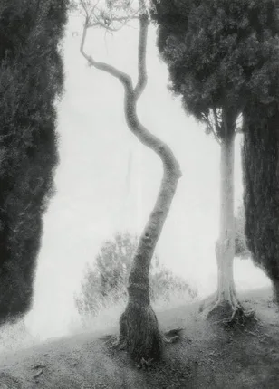 Untitled. Кадр 1