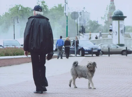 From the life of people. Кадр 6