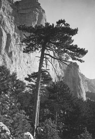 Russian photography. Strokes to a history. Кадр 5