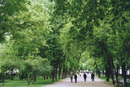 Parcs of Moscow. Кадр 5
