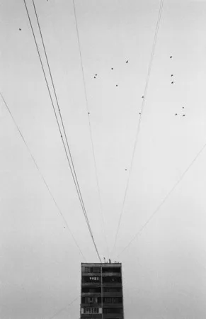 Crossing. Кадр 16