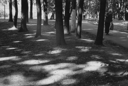 Once upon a time in the park. Lefortovo/Izmailovo. Кадр 5