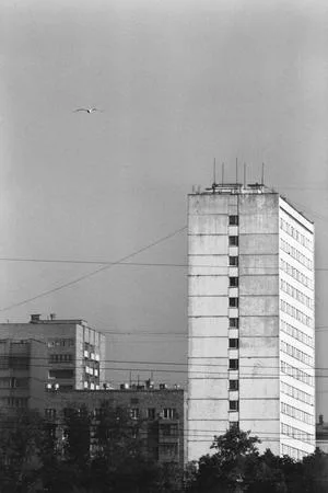 Московская чайка у себя дома — портрет в интерьере. Кадр 17