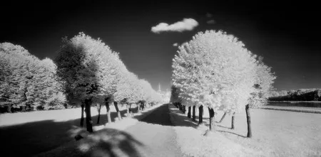 Moscow parks. Кадр 3