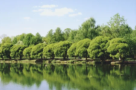 Parcs of Moscow. Кадр 4