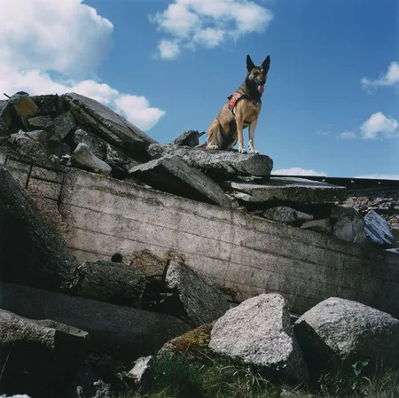 Images of Germany. Кадр 26